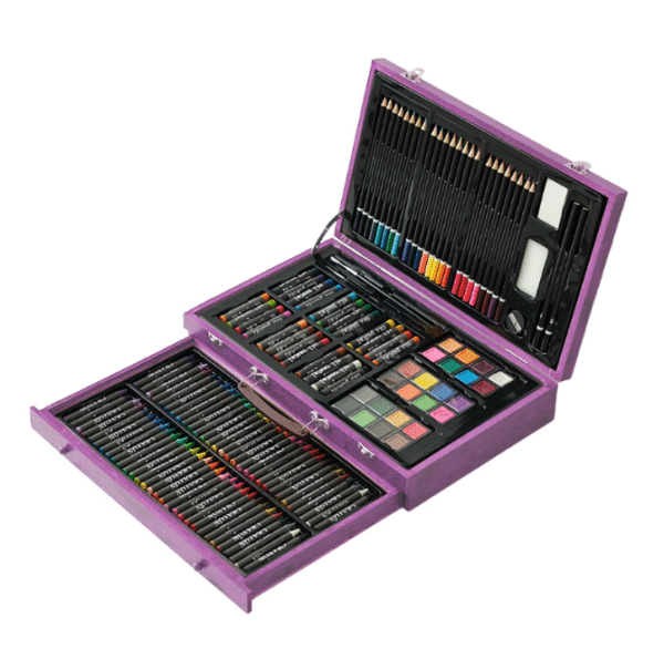 Professional Art Crayon Set